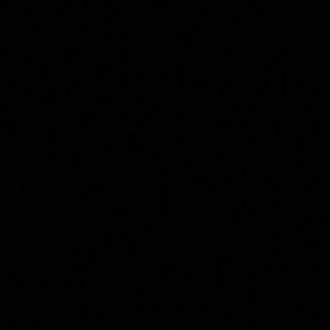 Meet your Posher, Shaunta